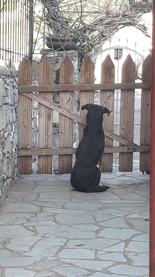 فيلا Collina E Mare كامولّي المظهر الخارجي الصورة
